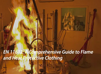 //ijrorwxhnikqmr5p.leadongcdn.cn/cloud/jkBpkKkiRilSqrirjilqr/ppe_heat-flame_536_395.jpg